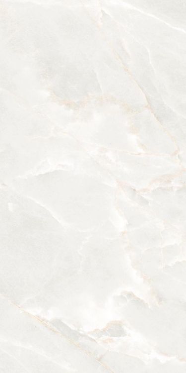 Brasilia White Matte 12 x 24